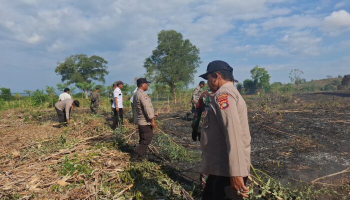 Personel Polsek Sambelia Bersama Instansi Terkait Berupaya Padamkan Kebakaran Hutan Produksi di Dara Kunci