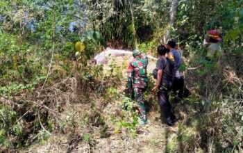 Lahan Wakaf Terbakar, TNI-Polri, Damkar dan Warga Bergerak Cepat