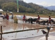 Polres Sumbawa Barat Pastikan Festival Barapan Kerbau Jereweh Berlangsung Aman dan Kondusif.