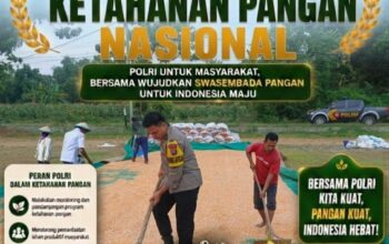 Bripda Dodi Eko Anggota Polsek Bancar Turun ke Ladang, Bantu Warga Jemur Hasil Panen Jagung