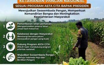 Polsek Grabagan Polresta Tuban Turun Langsung Cek Tanaman Jagung Warga