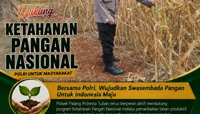 Dukung Astacita, Polsek Palang Polresta Tuban Pantau Langsung Lahan Jagung milik warga Desa Tasikmadu