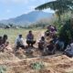 Wujud Kedekatan Polri dan Masyarakat, Bhabinkamtibmas Polsek Belo Bantu Panen Bawang Merah Milik Warga Binaan