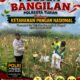 Polsek Bangilan Monitoring Panen Jagung, Dukung Ketahanan Pangan Nasional