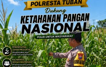 Turun ke Ladang Demit, Polsek Jatirogo Kawal Jagung Demi Swaembada Pangan