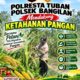 Polsek Bangilan Dukung Ketahanan Pangan Melalui Monitoring Tanaman Jagung