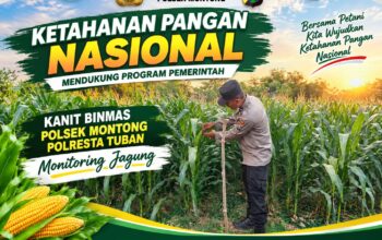 Polsek Montong Polresta Tuban Turun Cek Tanaman jagung Warga di Desa Pucangan