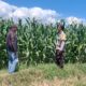 Dukung Ketahanan Pangan, Bhabinkamtibmas Jurumapin Sambangi Petani Jagung dan Pantau Perkembangan Lahan