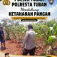 *Polsek Tuban Pantau Lahan Jagung Warga, Dukung Ketahanan Pangan Nasional*
