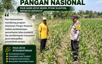 DALAM RANGKA MENDUKUNG PROGRAM ASTACITA, BHABINKAMTIBMAS DESA KUMPULREJO POLSEK PARENGAN POLRESTA TUBAN SAMBANGI PETANI JAGUNG DI DESA KUMPULREJO GUNA DUKUNG KETAHANAN PANGAN.