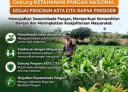 “ANGGOTA POLMAS PANTAU PERKEMBANGAN TANAMAN JAGUNG PETANI DI DESA BINAAN”