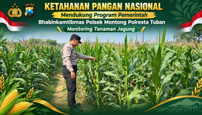 Polsek Montong Polresta Tuban Turun Cek Tanaman jagung Warga di Desa Pucangan