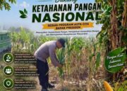 Polsek Soko Polresta Tuban Turun Langsung Cek Tanaman Jagung Warga
