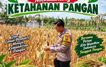 Dukung Program Asta Cita Presiden, Anggota Bhabinkamtibmas Polsek Senori Polresta Tuban Lakukan Pemantauan Tanaman Jagung Warga Desa Sendang