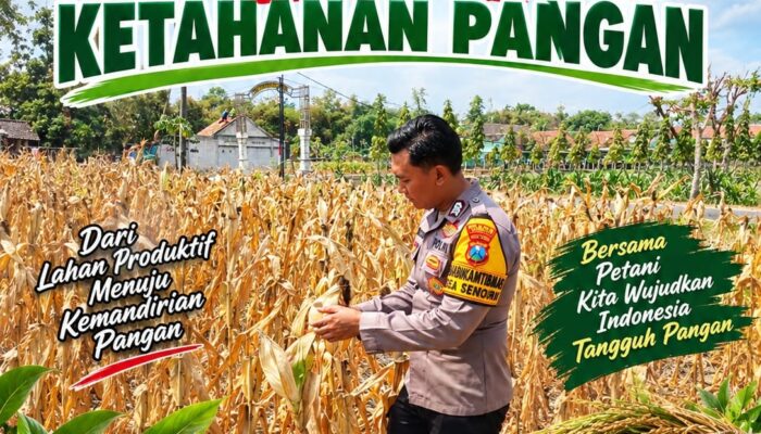 Dukung Program Asta Cita Presiden, Anggota Bhabinkamtibmas Polsek Senori Polresta Tuban Lakukan Pemantauan Tanaman Jagung Warga Desa Sendang