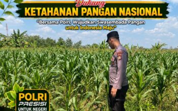 POLSEK BANGILAN DUKUNG KETAHANAN PANGAN NASIONAL MELALUI MONITORING TANAMAN JAGUNG