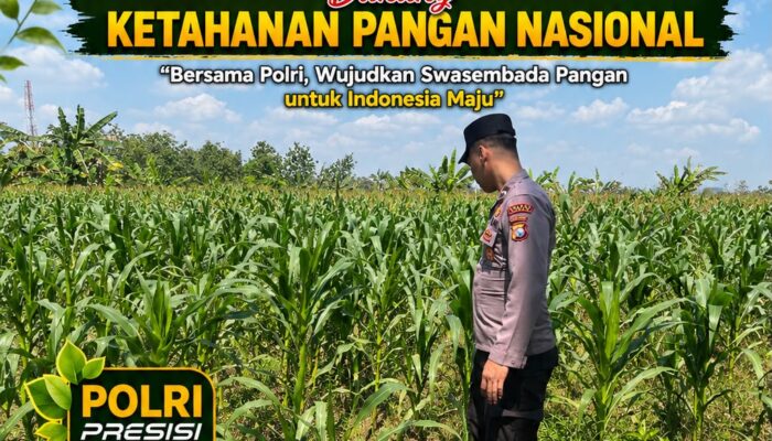 POLSEK BANGILAN DUKUNG KETAHANAN PANGAN NASIONAL MELALUI MONITORING TANAMAN JAGUNG