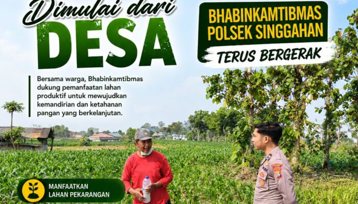 Anggota Polsek Singgahan Polresta Tuban Turun Cek Tanaman jagung Warga di Desa Mulyorejo