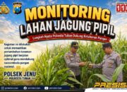 Anggota Bhabinkamtibmas Polsek Senori Polresta Tuban Monitoring Tanaman Jagung Milik Warga Desa Jatisari Dukung Program Ketahanan Pangan