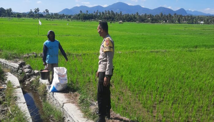 Dukung Ketahanan Pangan Nasional, Bhabinkamtibmas Polsek Utan Sambangi Petani di Desa Motong