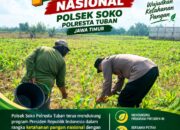 Polsek Soko Polresta Tuban Turun Langsung Cek Tanaman Jagung Warga
