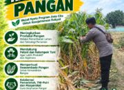 Polri Dukung Astacita, Polsek Merakurak Polres Tuban Turun Cek Tanaman Jagung Warga di Desa Tuwiri Wetan