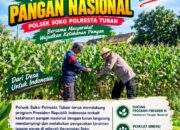 Polsek Soko Polresta Tuban Turun Langsung Cek Tanaman Jagung Warga