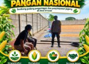 “POLSEK KEREK SAMBANG GUDANG PENAMPUNGAN JAGUNG, DUKUNG KETAHAN PANGAN NASIONAL”