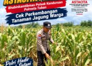 Dukung Program Astacita Presiden, Bhabinkamtibmas Polsek Kenduruan Polresta Tuban Cek Perkembangan Tanaman Jagung Warga .