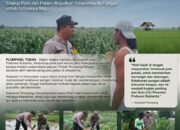 Polsek Plumpang Polresta Tuban Turun Langsung Cek Tanaman Jagung Warga