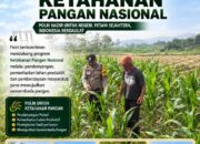 BHABINKAMTIBMAS DESA KUMPULREJO POLSEK PARENGAN POLRESTA TUBAN SAMBANG PETANI JAGUNG UNTUK MENDUKUNG KETAHANAN PANGAN DAN ASTACITA PRESIDEN RI