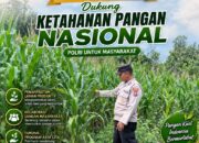 Dukung Ketahanan Pangan Nasional, Polsek Bangilan Bersinergi dengan Petani Jagung