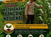 Anggota Polsek Singgahan Polresta Tuban Turun Cek Tanaman jagung Warga di Desa Mulyoagung