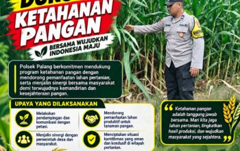 Dukung Astacita, Polsek Palang Polresta Tuban Pantau Langsung Lahan Jagung milik warga Desa Wangun