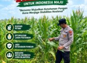 Polsek Soko Polresta Tuban Turun Langsung Cek Tanaman Jagung Warga
