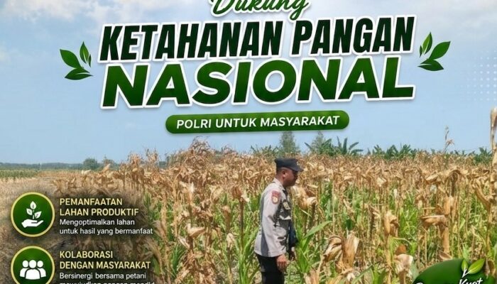 Polri Dukung Astacita, Polsek Rengel Polresta Tuban Turun Cek Tanaman Jagung Warga di Desa Sawahan