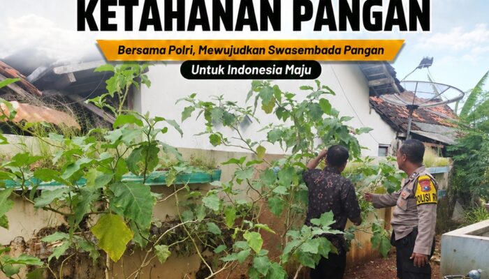 Polsek Tuban Dukung Ketahanan Pangan, Pantau Pemanfaatan Lahan Pekarangan Warga