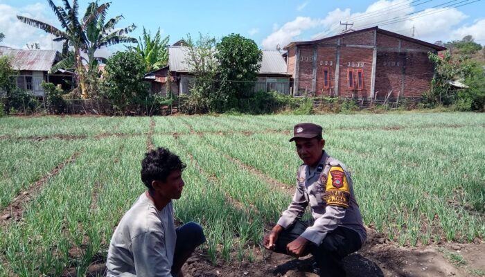 Bhabinkamtibmas Tekasire Sambangi Petani, Sampaikan Imbauan Karhutla dan Antisipasi Gangguan Ternak