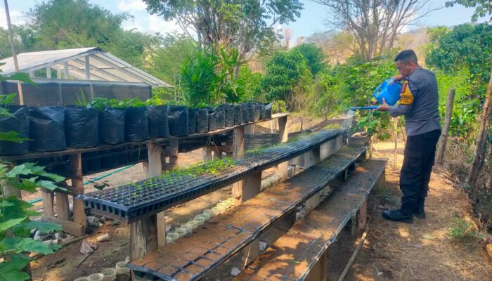 Dukung Ketahanan Pangan Nasional, Bhabinkamtibmas Desa Semamung Sambangi Warga di Demplot Uma Keban