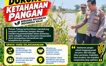 Dukung Astacita, Polsek Palang Polresta Tuban Pantau Langsung Lahan Jagung milik warga Desa Dawung