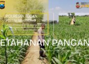 Polri Dukung Astacita, Polsek Semanding Polresta Tuban Turun Cek Tanaman jagung milik Warga di Desa Ngino