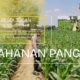 Polri Dukung Astacita, Polsek Semanding Polresta Tuban Turun Cek Tanaman jagung milik Warga di Desa Ngino
