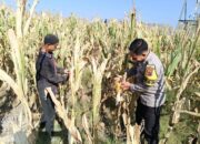 Bhabinkamtibmas Desa O’o Dorong Warga Manfaatkan Lahan untuk Mendukung Ketahanan Pangan