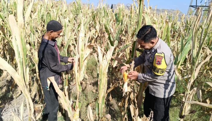 Bhabinkamtibmas Desa O’o Dorong Warga Manfaatkan Lahan untuk Mendukung Ketahanan Pangan