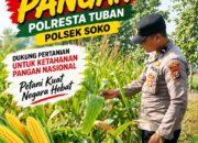 Polsek Soko Polresta Tuban Turun Langsung Cek Tanaman Jagung Warga
