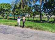 Dukung Ketahanan Pangan Nasional, Bhabinkamtibmas Desa Orong Bawa Sambangi Petani dan Cek Langsung Proses Panen