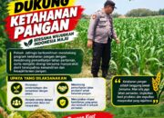Dukung Asta Cita, Polsek Jatirogo Turun Langsung Pantau Ladang Jagung Warga Desa Sugihan