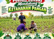 Unit Binmas Polsek Senori Polresta Tuban Memantau Tanaman Jagung Milik Warga Desa Kaligede Kecamatan Senori Guna Mendukung Program Ketahanan Pangan