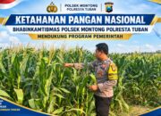 Polsek Montong Polresta Tuban Turun Cek Tanaman jagung Warga di Desa Pucangan