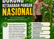 Anggota Polsek Singgahan Polresta Tuban Turun Cek Tanaman jagung Warga di Desa Mulyorejo